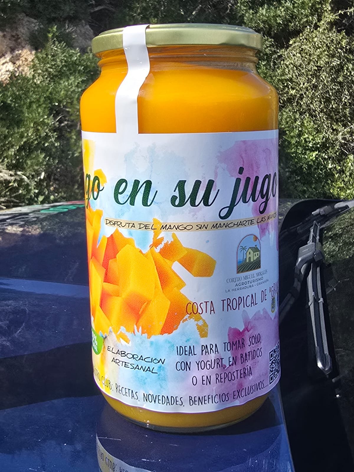 Mango en su Jugo - Imagen 2