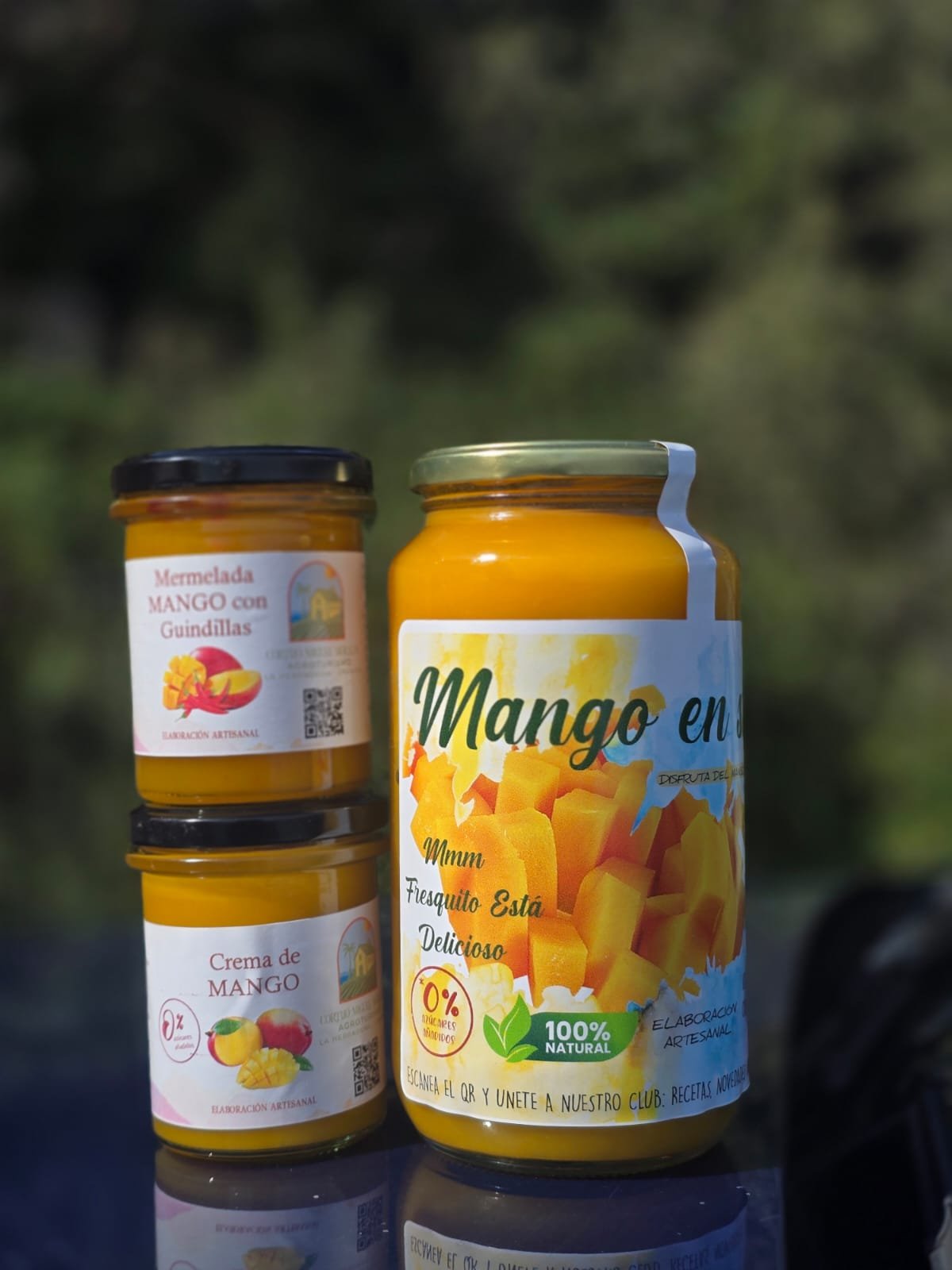 Pack Especial Navidad – Conservas de Mango - Imagen 2